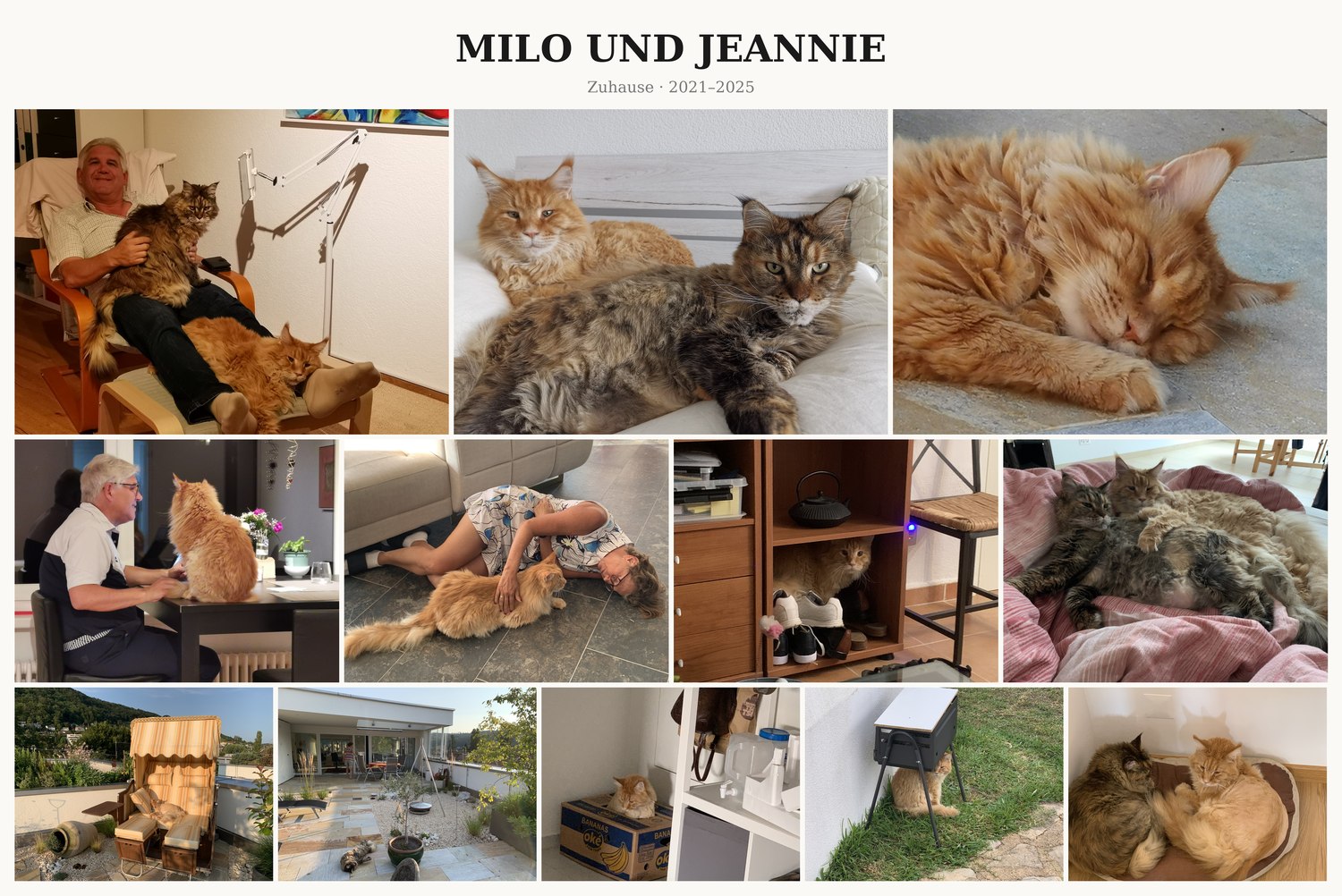 Fotocollage Milo und Jeannie: Zuhause